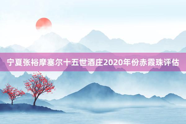 宁夏张裕摩塞尔十五世酒庄2020年份赤霞珠评估